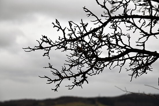 2018-12-23 aeste am kornberg7