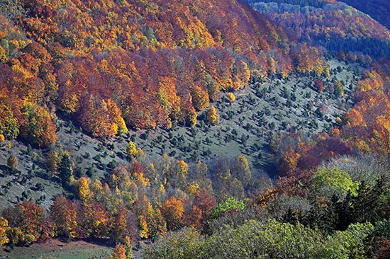 2020-10-24 herbst am hornberg4