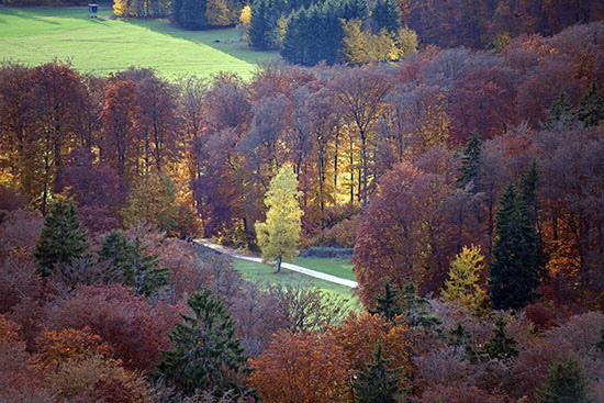 2020-10-27 truppenuebungsplatz muensingen10