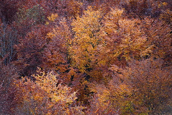 2020-10-27 truppenuebungsplatz muensingen16