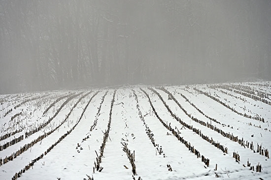 2021-01-02 bei auendorf3