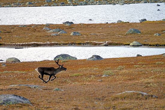 2022-09 schweden-norwegen 1520
