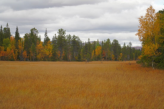 2022-09 schweden-norwegen 1900