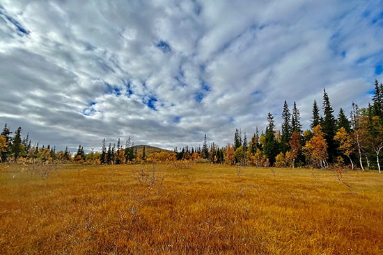 2022-09 schweden-norwegen 1930