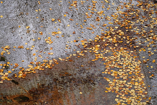 2022-09 schweden-norwegen 2080