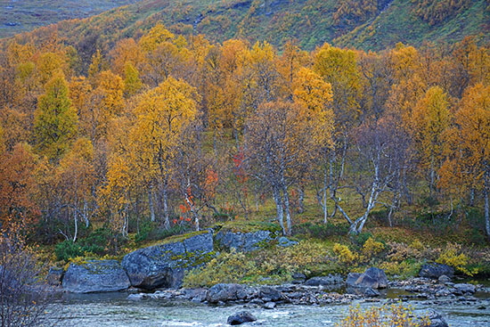 2022-09 schweden-norwegen 2370