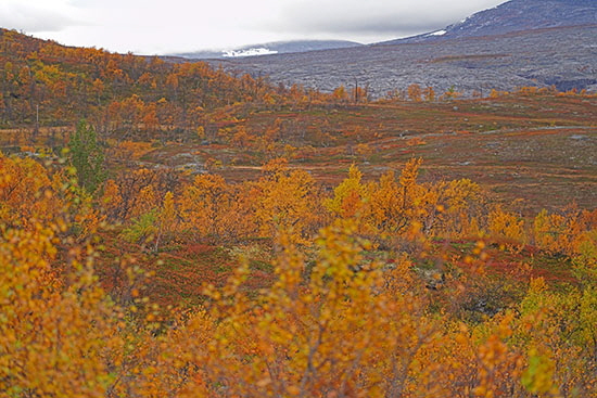 2022-09 schweden-norwegen 2510