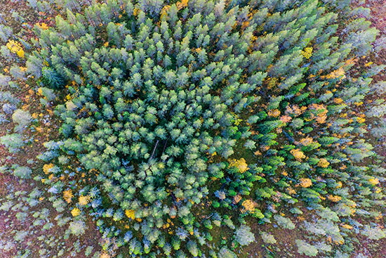 2022-09 schweden-norwegen 2940