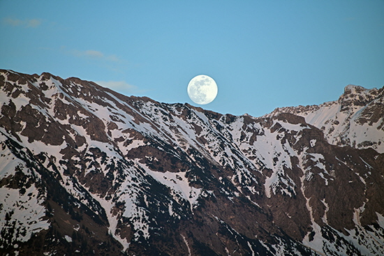 M85_0139