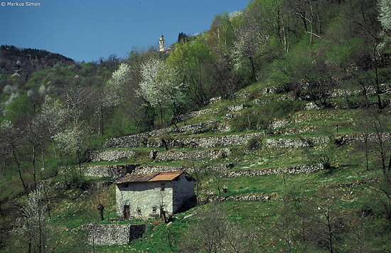 �1994-04 04