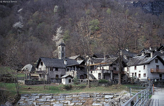 �1994-04 08