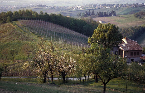 �1995-04 06