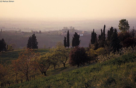 �1995-04 07