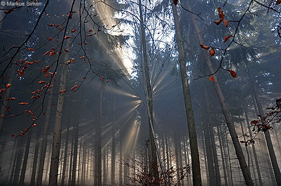 �2011-11-13 nebel beim reussenstein 10