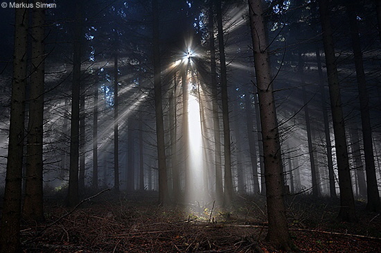 �2011-11-13 nebel beim reussenstein 15