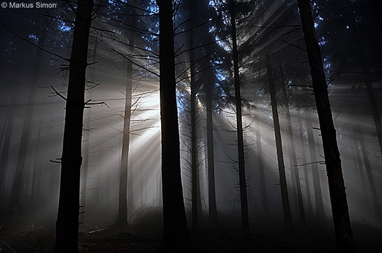 �2011-11-13 nebel beim reussenstein 18