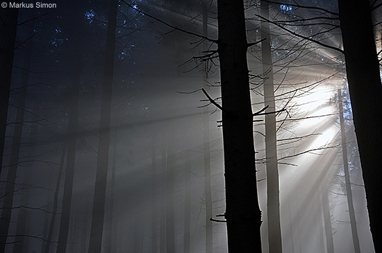 �2011-11-13 nebel beim reussenstein 21