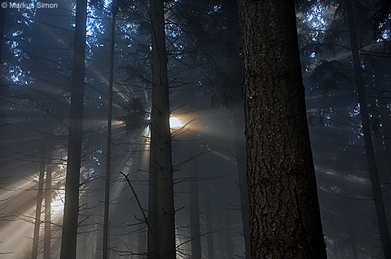 �2011-11-13 nebel beim reussenstein 24