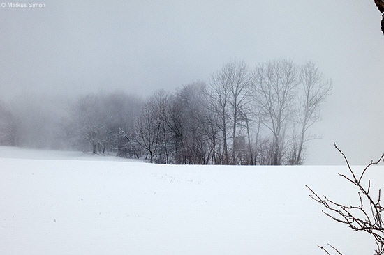 �2014-01-25 kornberg6