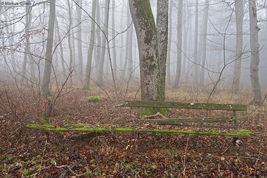 �2016-12-18 nebel am kornberg4