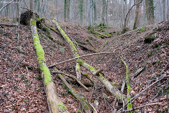 �2018-03-11 wald bei ueberkingen4