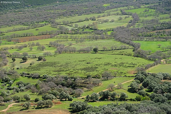 �2018 korsika auswahl 024