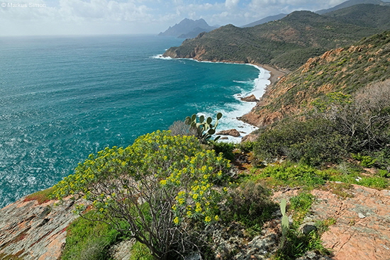 �2018 korsika auswahl 035