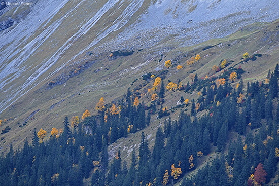 DSC_1062