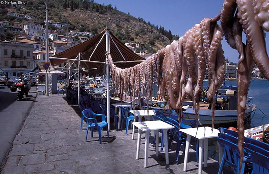 peloponnes gythion tintenfische auf leine